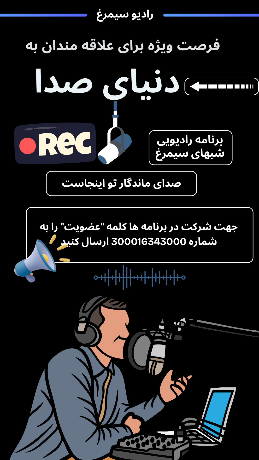صداسازی 